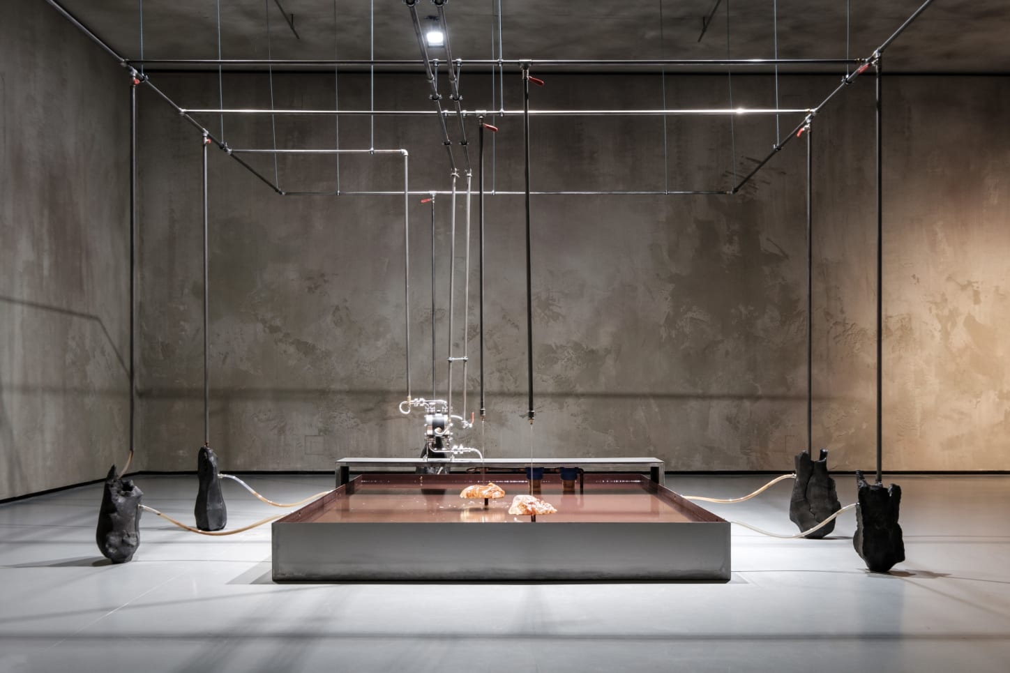 Ursula Mayer Installation View